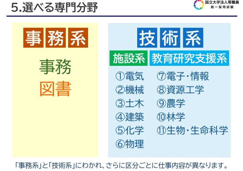 選べる専門分野